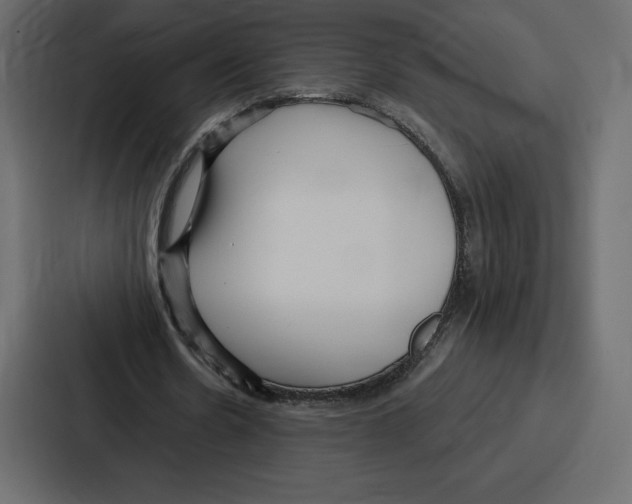 X0000086800530200705111837