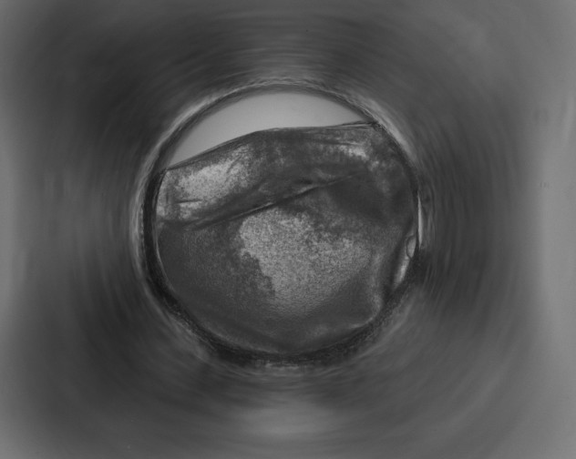 X0000086800531200705111837