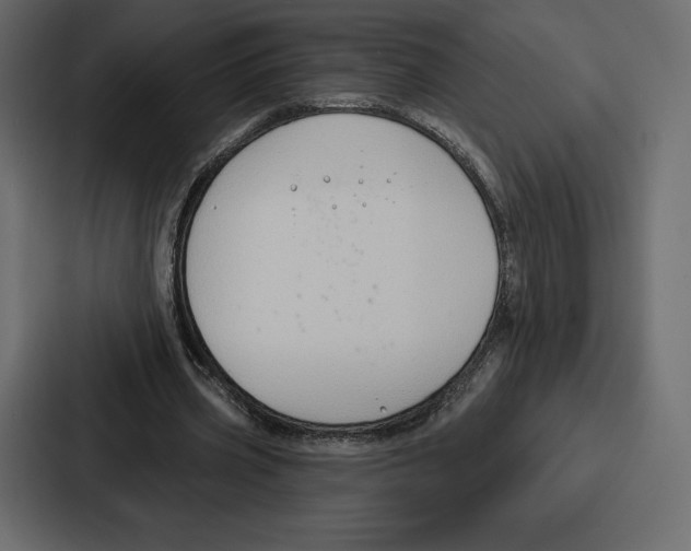 X0000086800533200705111837
