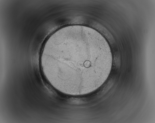 X0000086800534200705111837