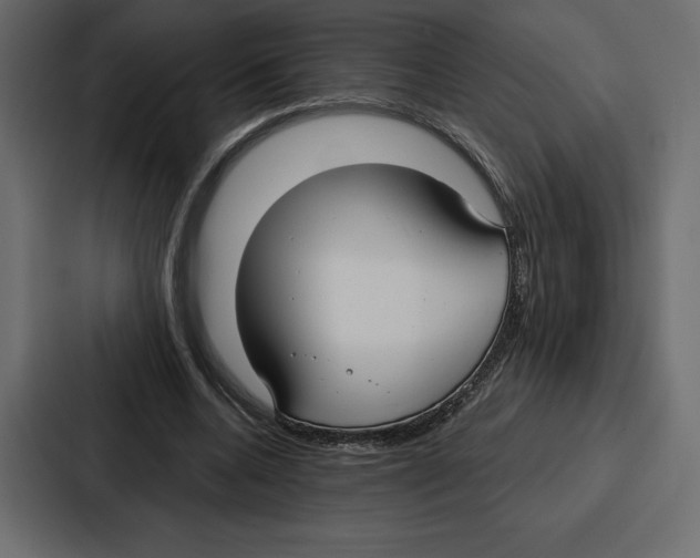 X0000086800536200705111837