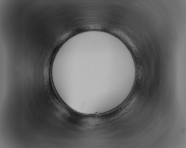 X0000086800537200705111837