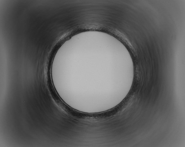 X0000086800538200705111837