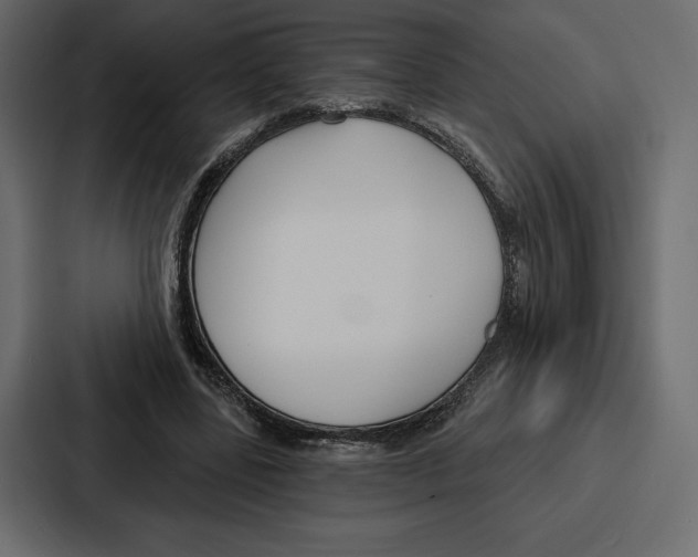 X0000086800539200705111837