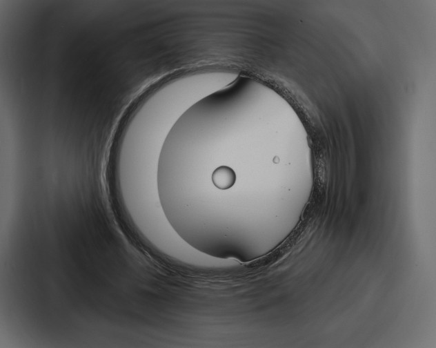 X0000086800540200705111837