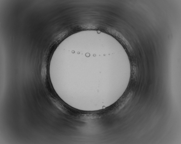 X0000086800541200705111837