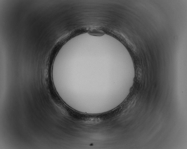 X0000086800543200705111837