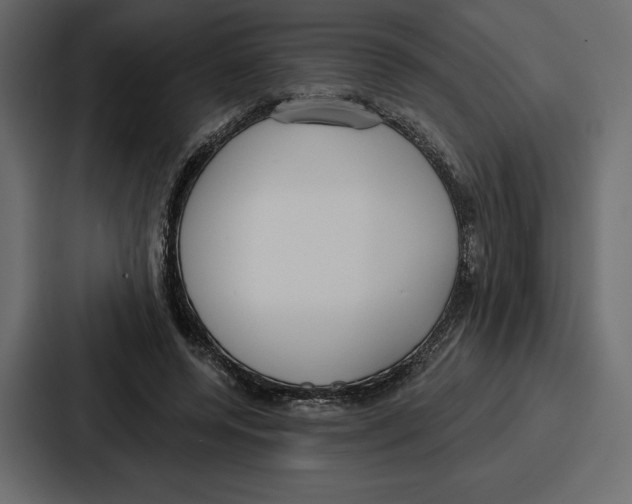 X0000086800544200705111837