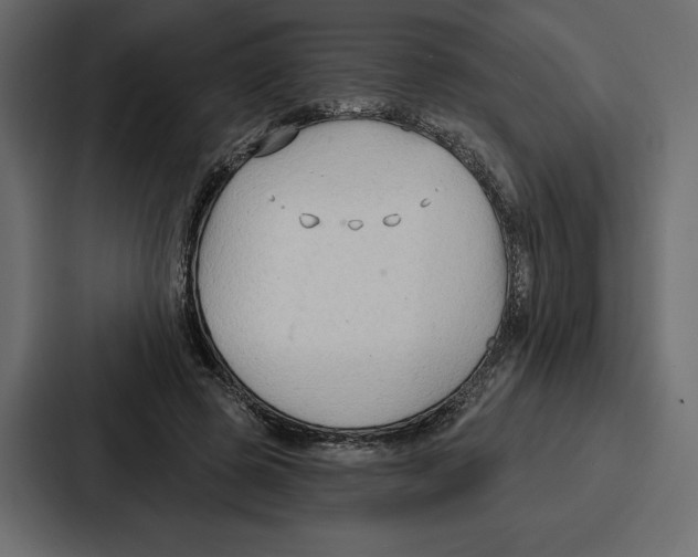 X0000086800545200705111837
