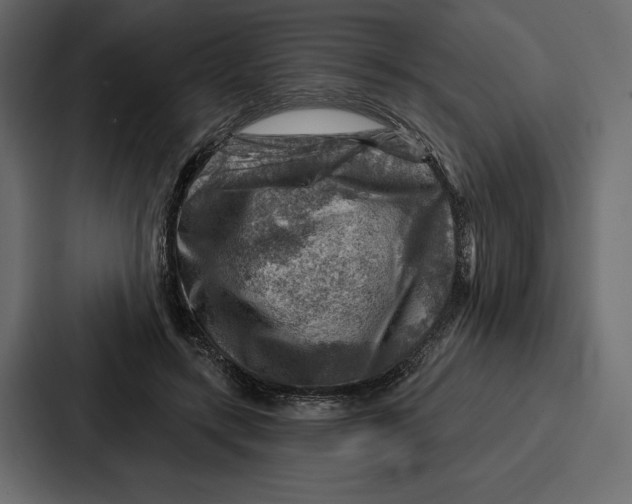 X0000086800547200705111837