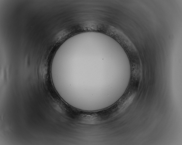 X0000086800548200705111837