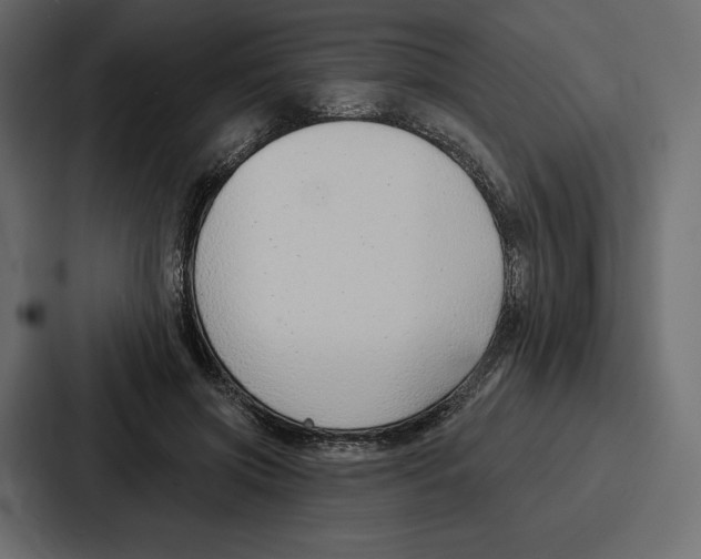 X0000086800549200705111837