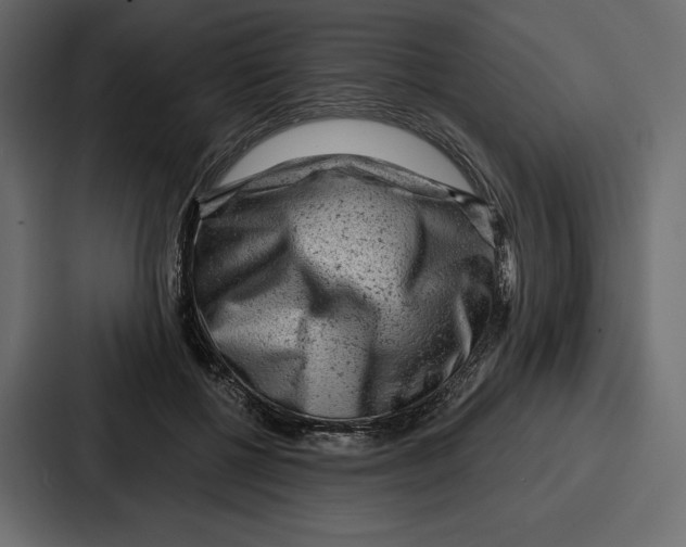 X0000086800552200705111837