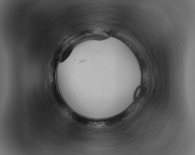 X0000086800554200705111837