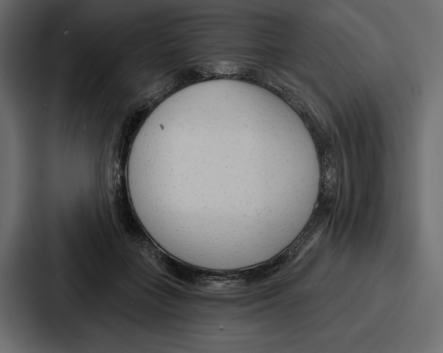 X0000086800555200705111837