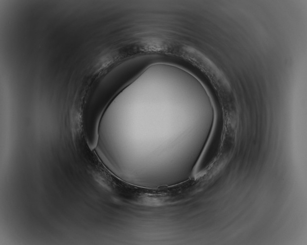 X0000086800556200705111837