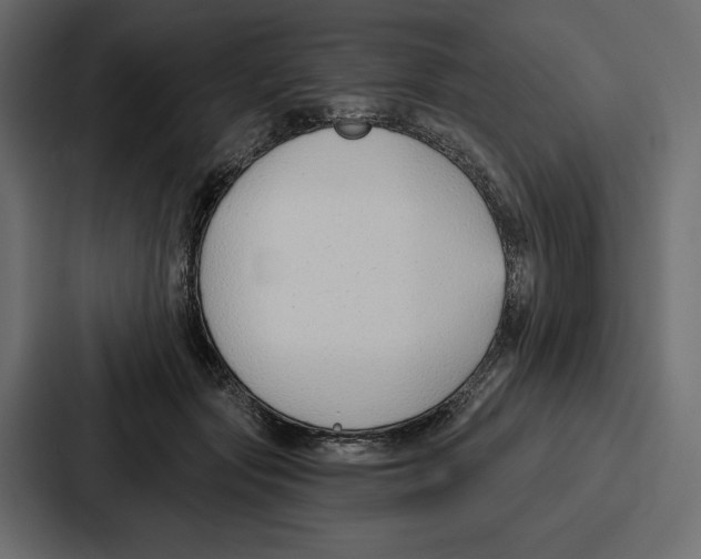 X0000086800557200705111837