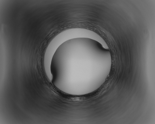 X0000086800558200705111837