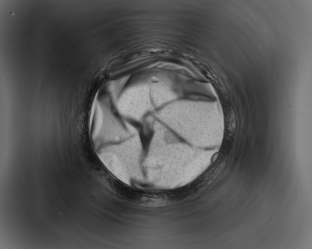 X0000086800559200705111837