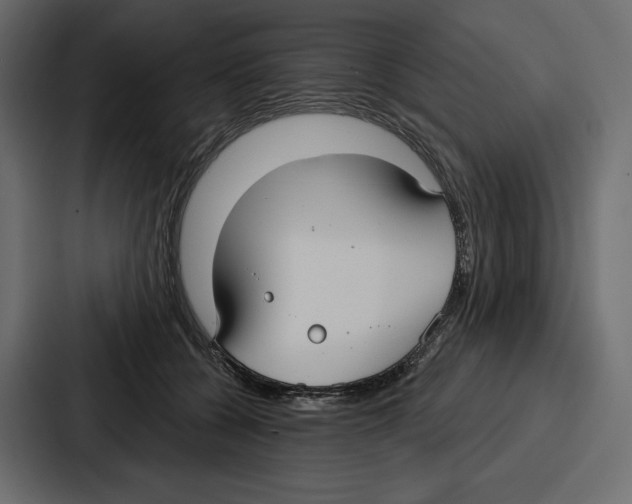 X0000086800560200705111837