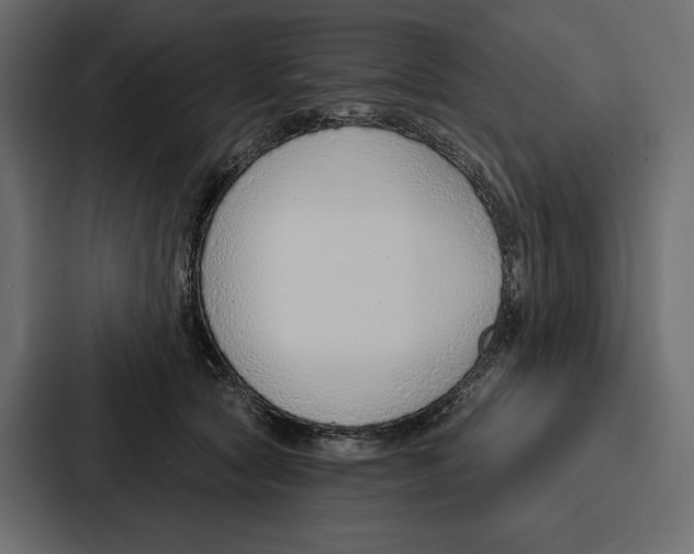 X0000086800561200705111837