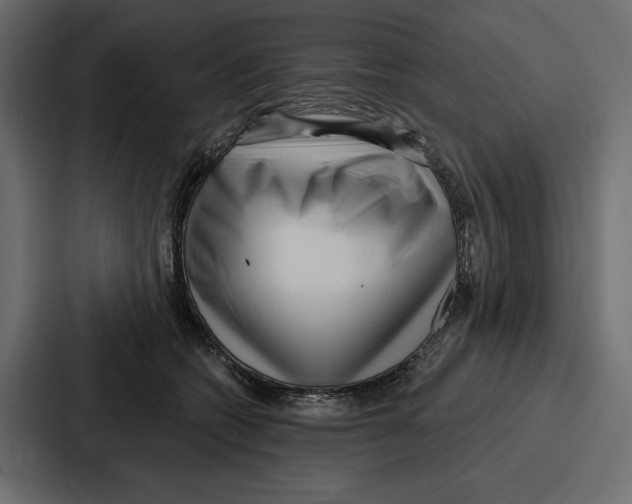 X0000086800562200705111837