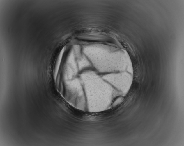 X0000086800563200705111837