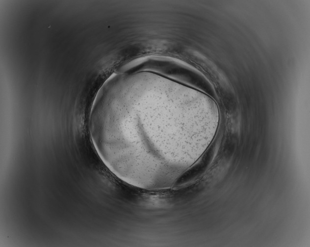 X0000086800564200705111837