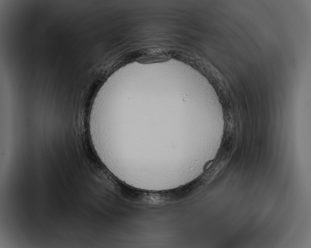 X0000086800565200705111837