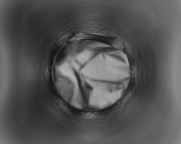 X0000086800566200705111837