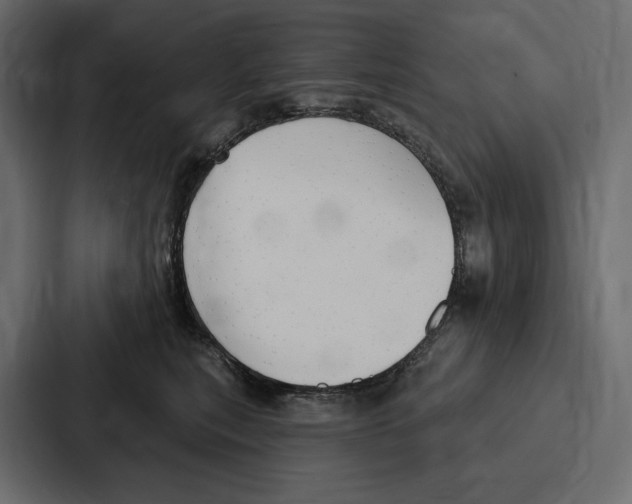 X0000086800567200705111838