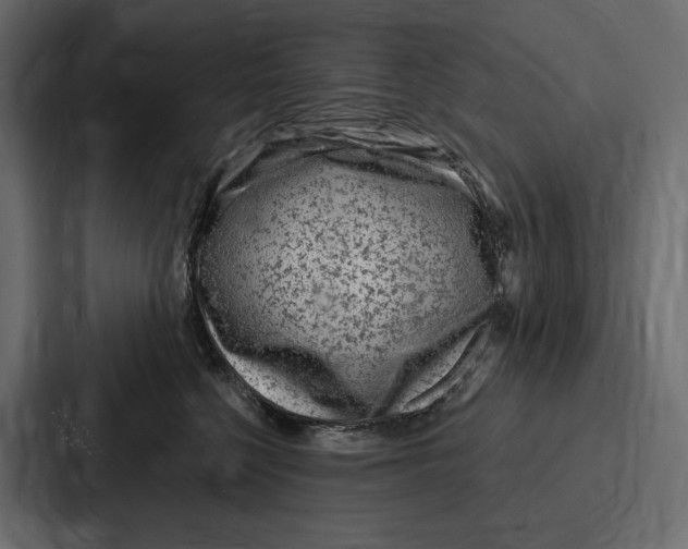X0000086800568200705111838