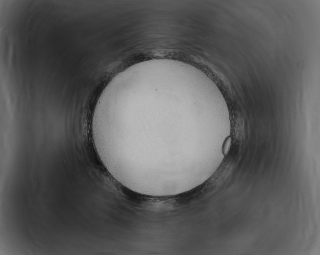 X0000086800569200705111838