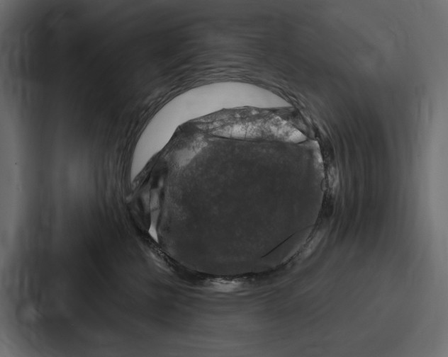 X0000086800570200705111838
