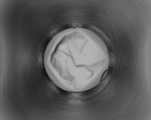X0000086800573200705111838