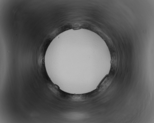 X0000086800574200705111838