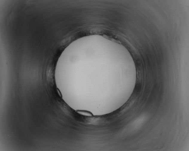 X0000086800575200705111838