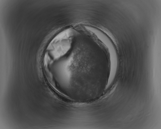 X0000086800577200705111837