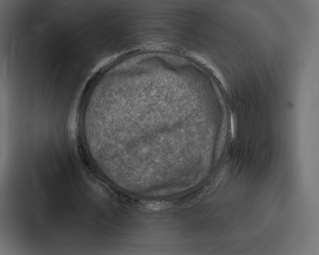 X0000086800579200705111837