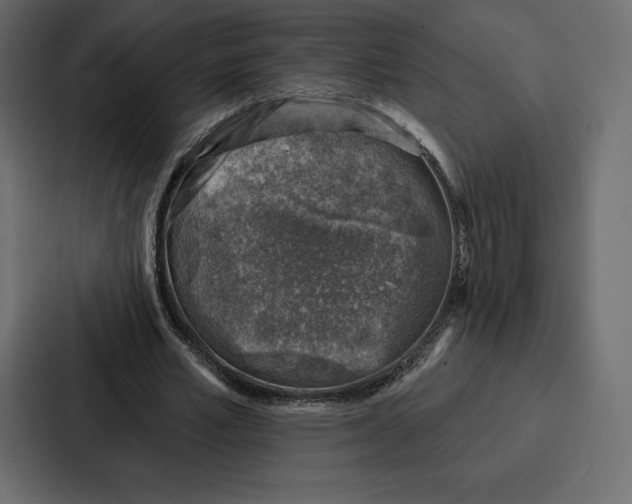 X0000086800581200705111837