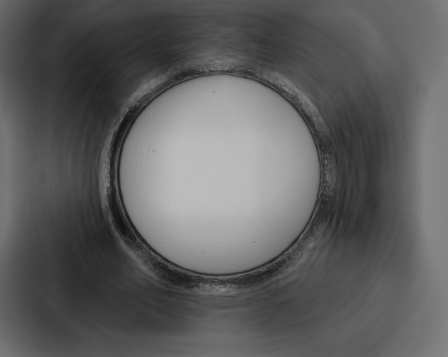 X0000086800582200705111837