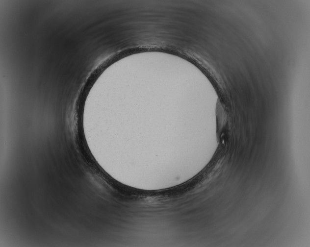 X0000086800584200705111837