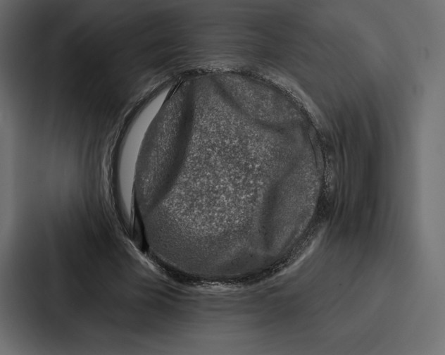 X0000086800585200705111837