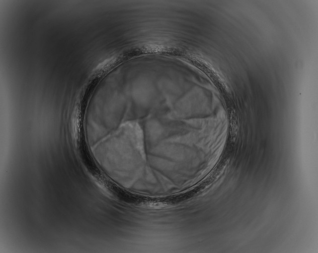 X0000086800590200705111837
