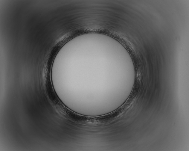 X0000086800591200705111837