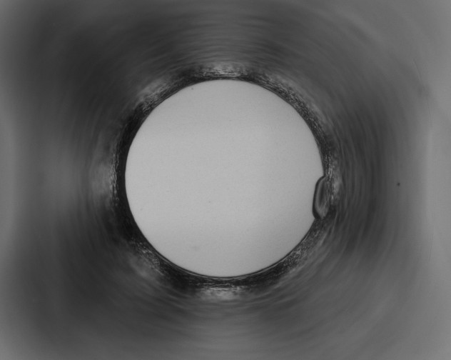 X0000086800595200705111837