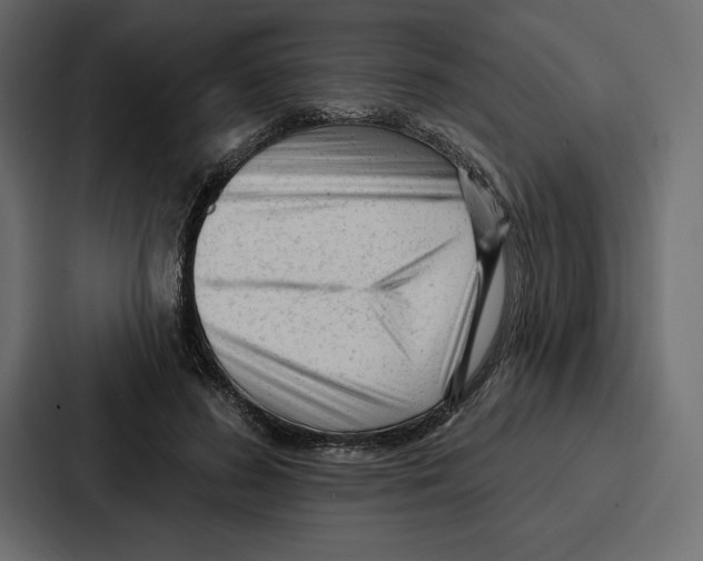 X0000086800596200705111837