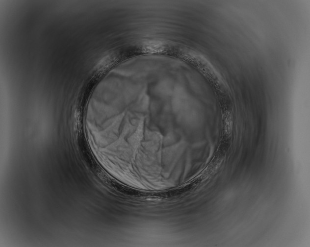 X0000086800598200705111837