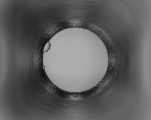 X0000086800603200705111837