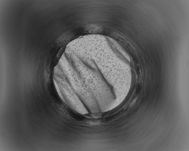 X0000086800604200705111837